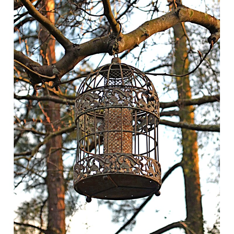squirrel proof bird feeder cage